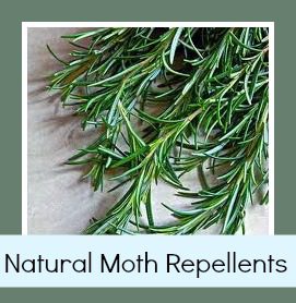 Natural Moth repelant