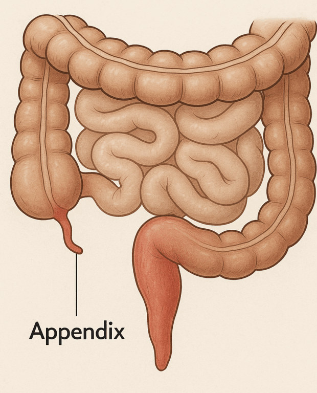 Appendix