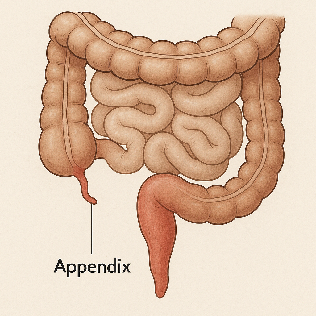 Appendix