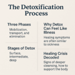 detoxification process