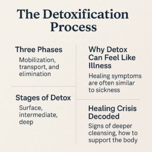 detoxification process