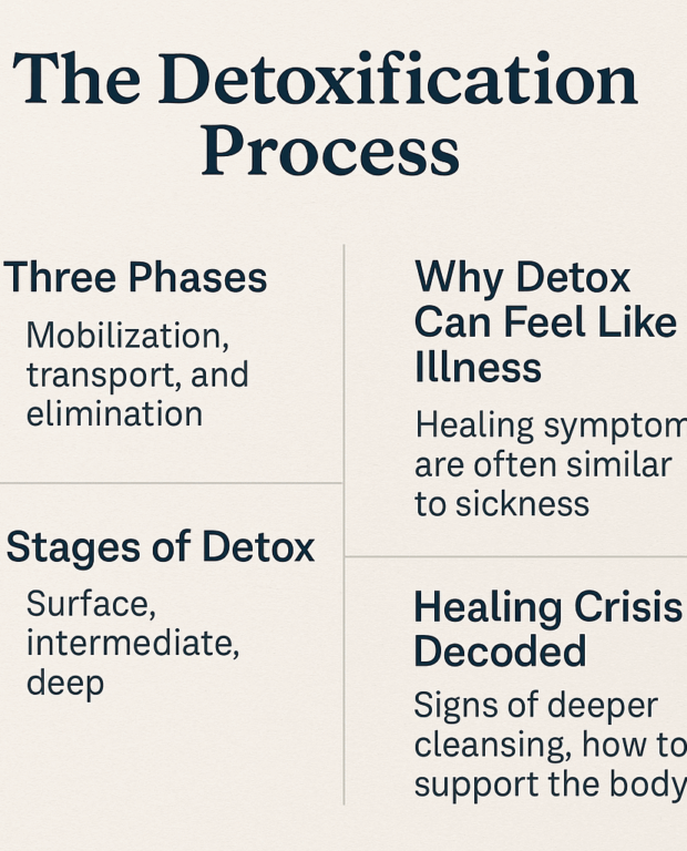 detoxification process