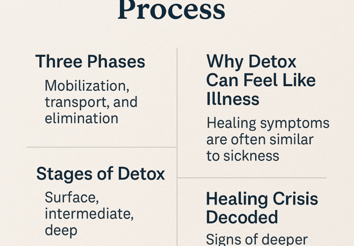 detoxification process