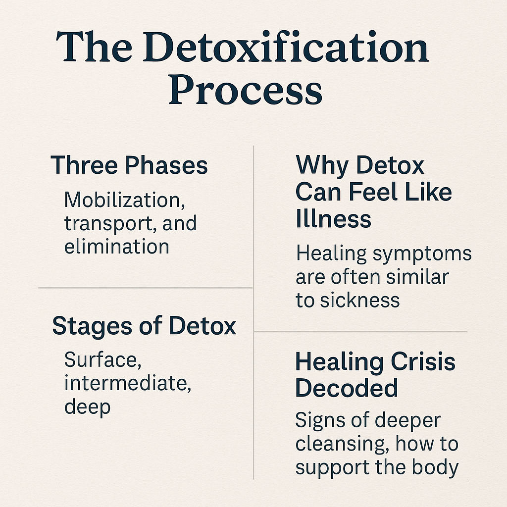 detoxification process