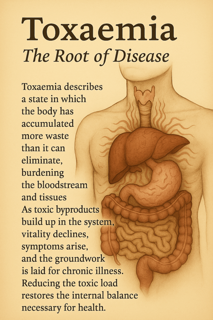 Toxaemia: The Root of Disease