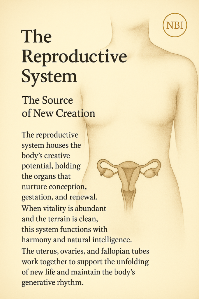 reproductive