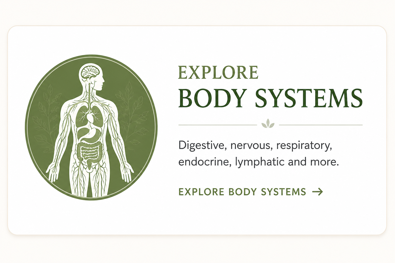Explore Body Systems