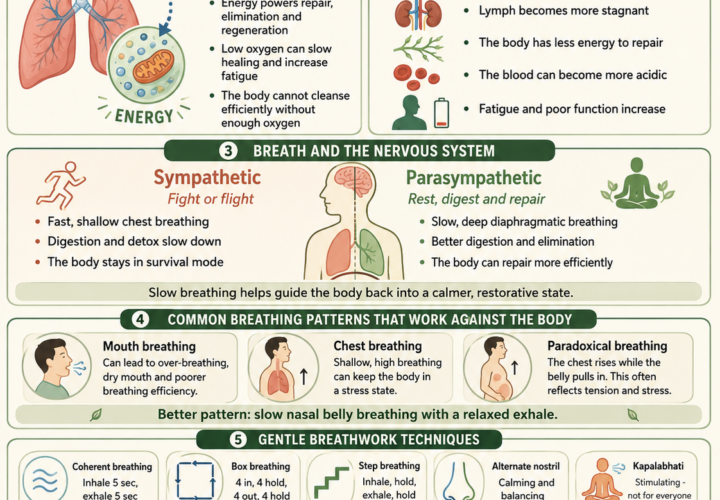 oxgyen in the body