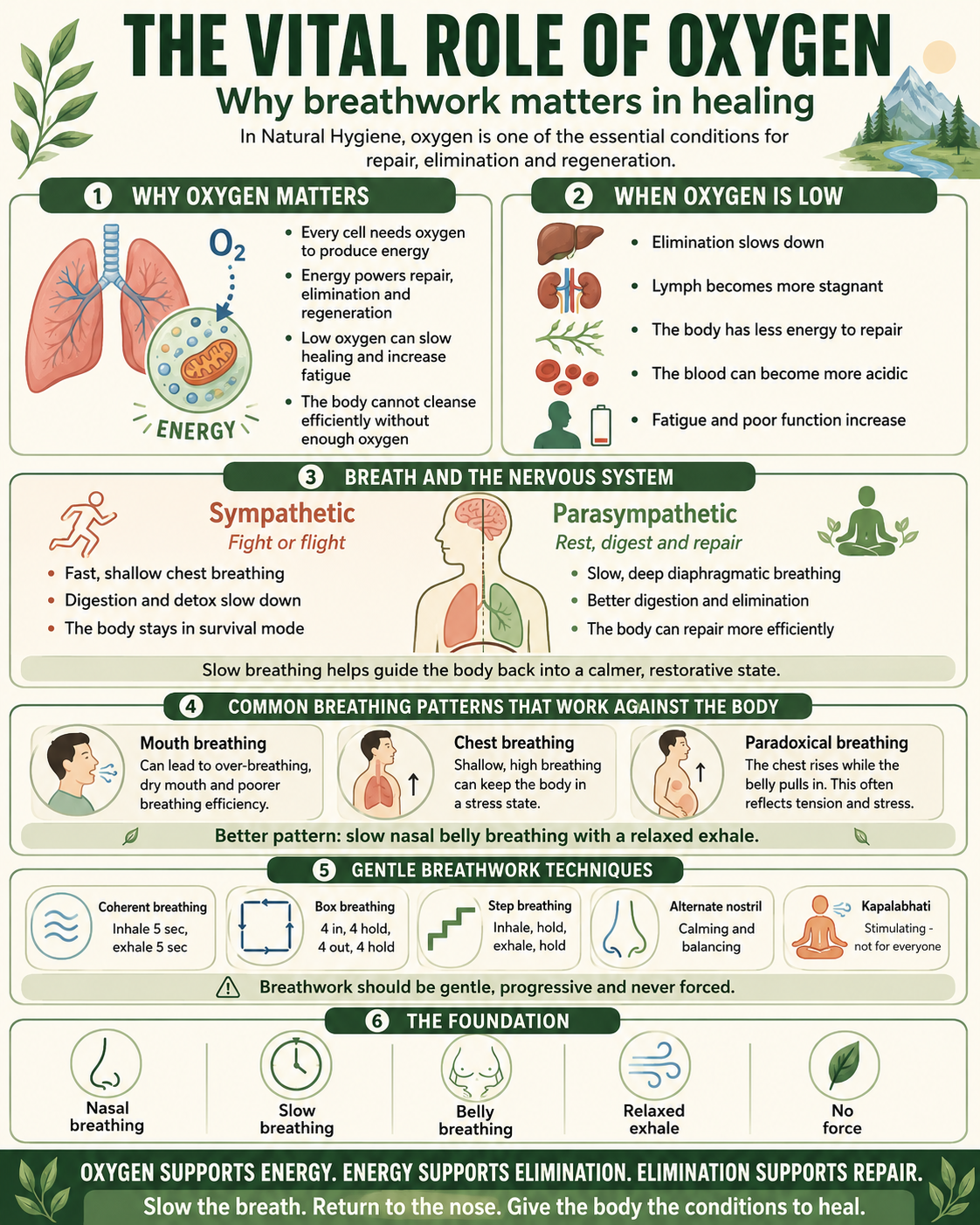 oxgyen in the body