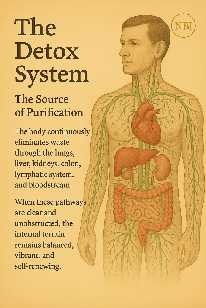 Detoxification System