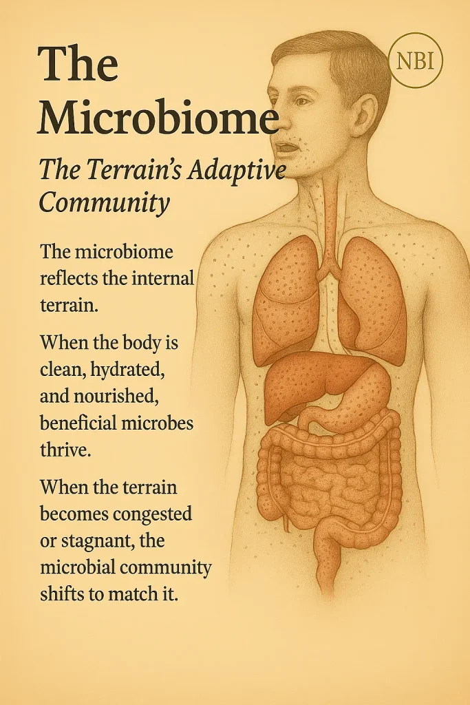 Gut Microbiome System