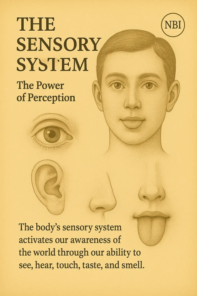 Sensory System