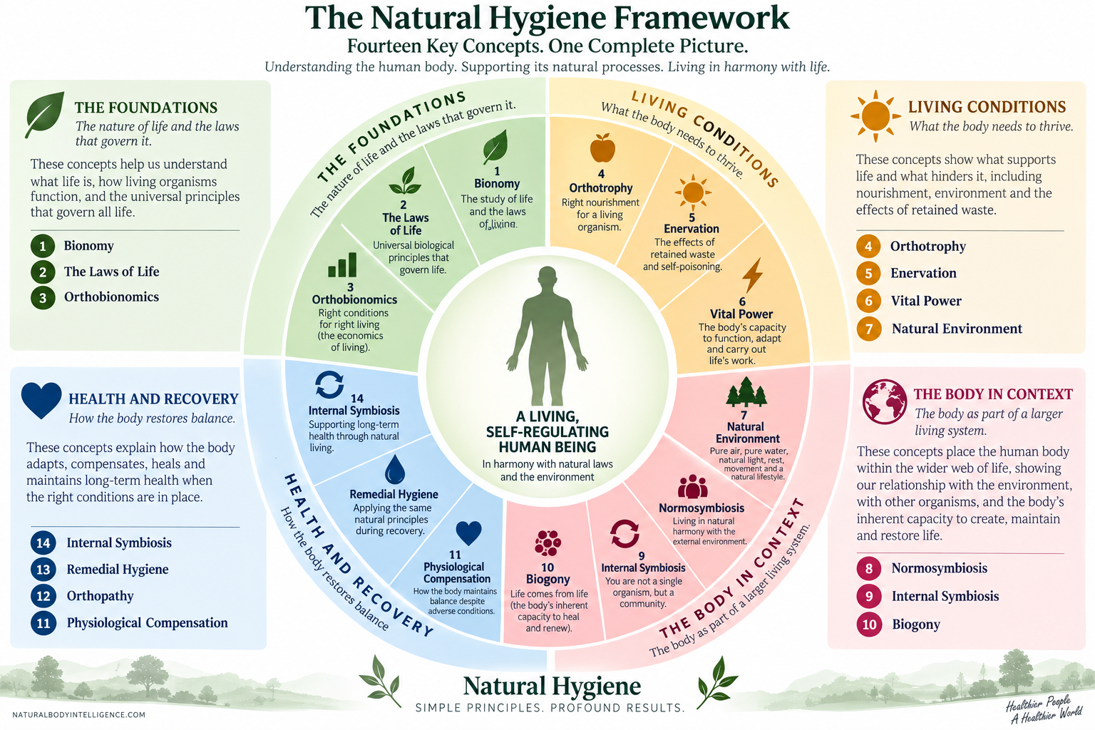 Natural Hygiene framework showing how 14 key concepts including Biogony, Orthobionomics, Bionomy, Orthotrophy, Enervation, Vital Power, Orthopathy and Remedial Hygiene fit together.