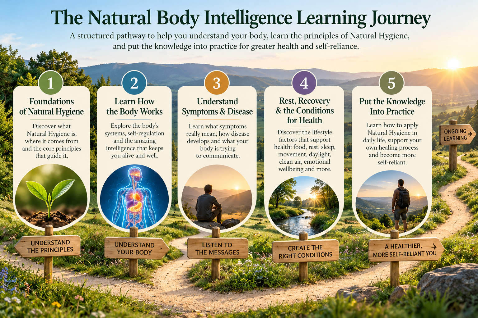 The Natural Body Intelligence Learning Journey showing five learning paths from Natural Hygiene foundations through putting the knowledge into practice